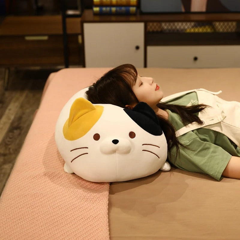 cat pillow - Gifts For Family Online