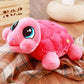 turtle stuffed animal - Gifts For Family Online