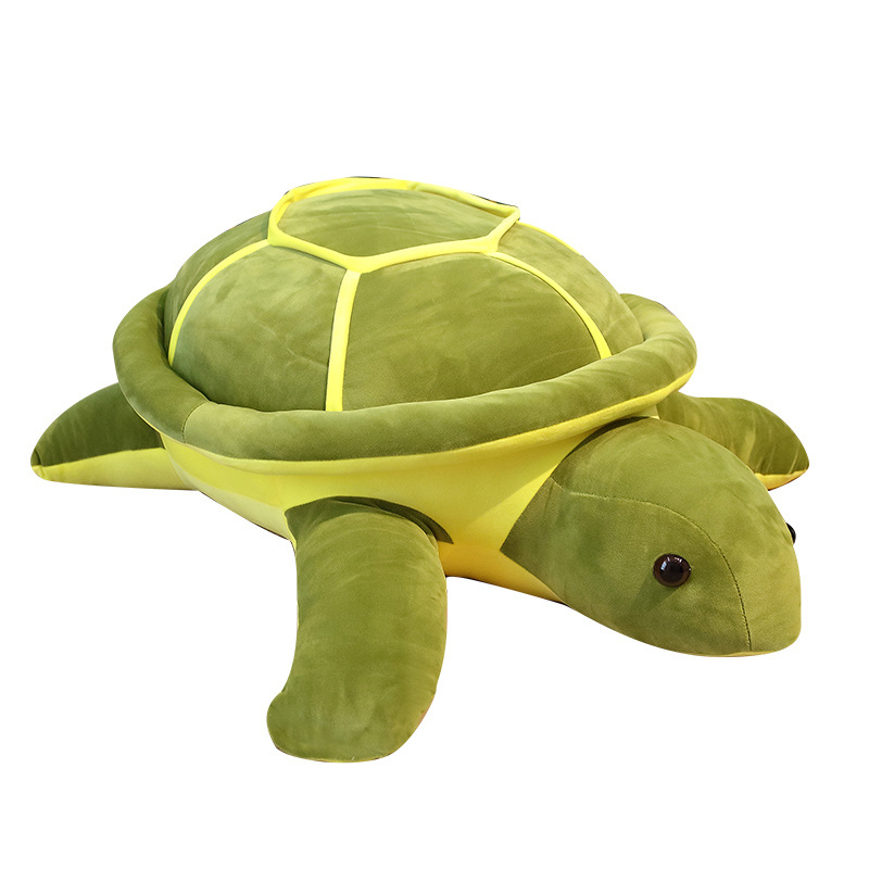 turtle plush toy - Gifts For Family Online