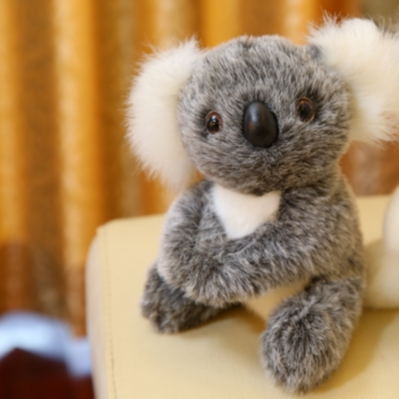 koala plush toy - Gifts For Family Online