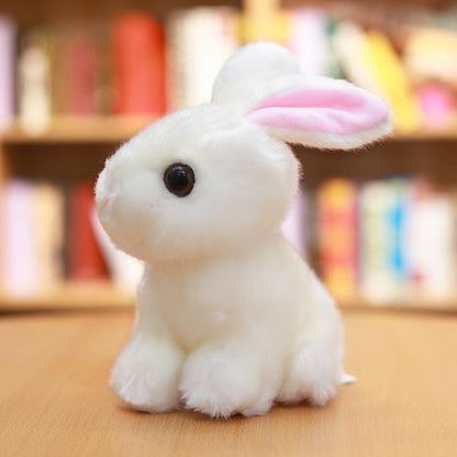 plush rabbit - Gifts For Family Online